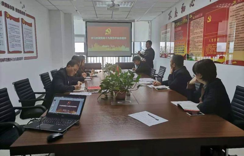 国鑫担保党支部开展“学习贯彻党的十九届五中全会精神”主题党日活动